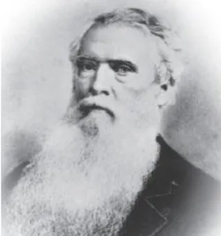 哈巴安德(Andrew Patton Happer)肖像